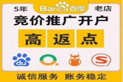 竞价SEM案例解析：电商行业营销策略